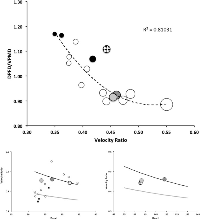 Fig. 8