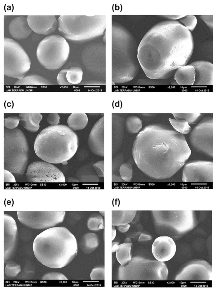 Figure 13