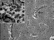 Fig. 9