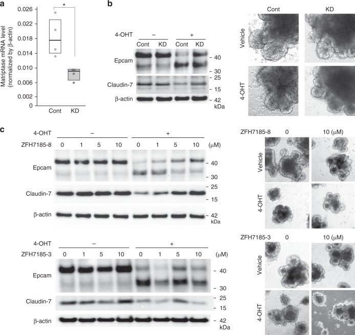 Fig. 9