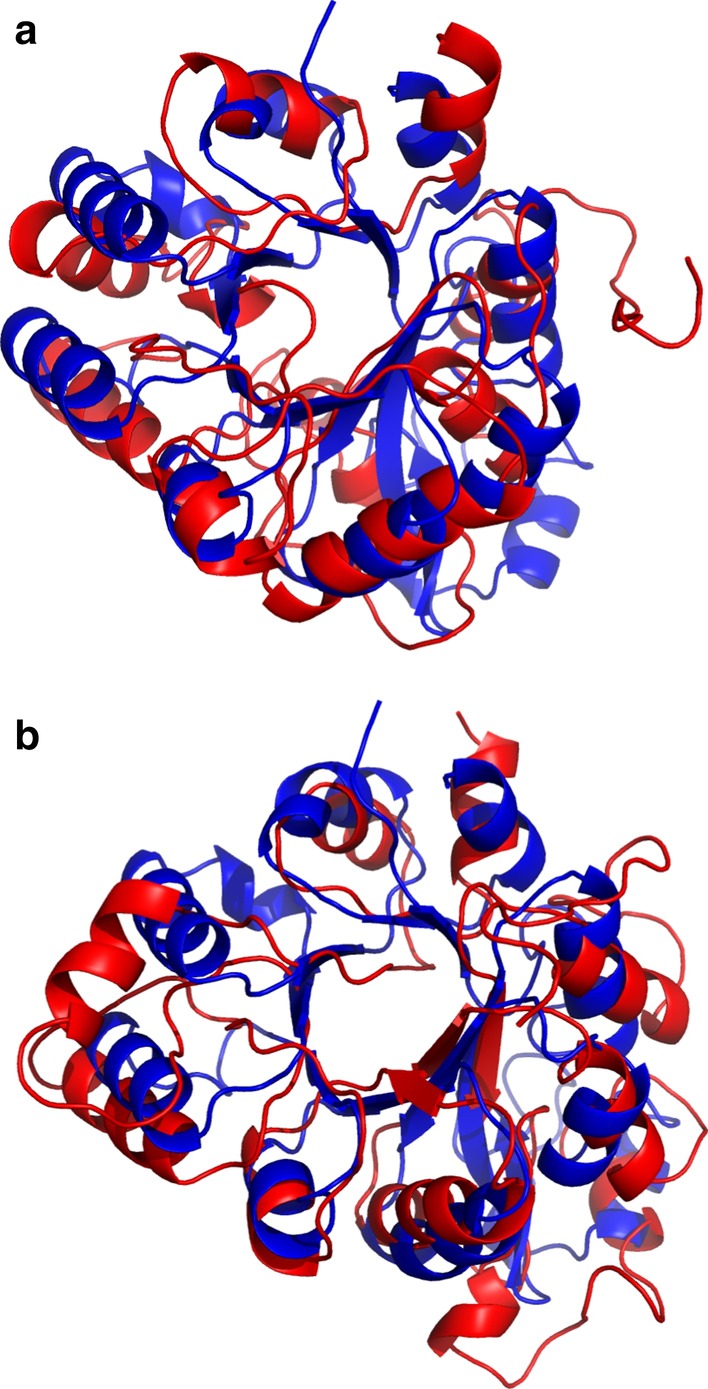 Fig. 7