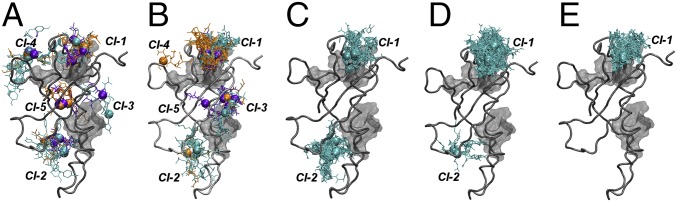 Fig. 5.