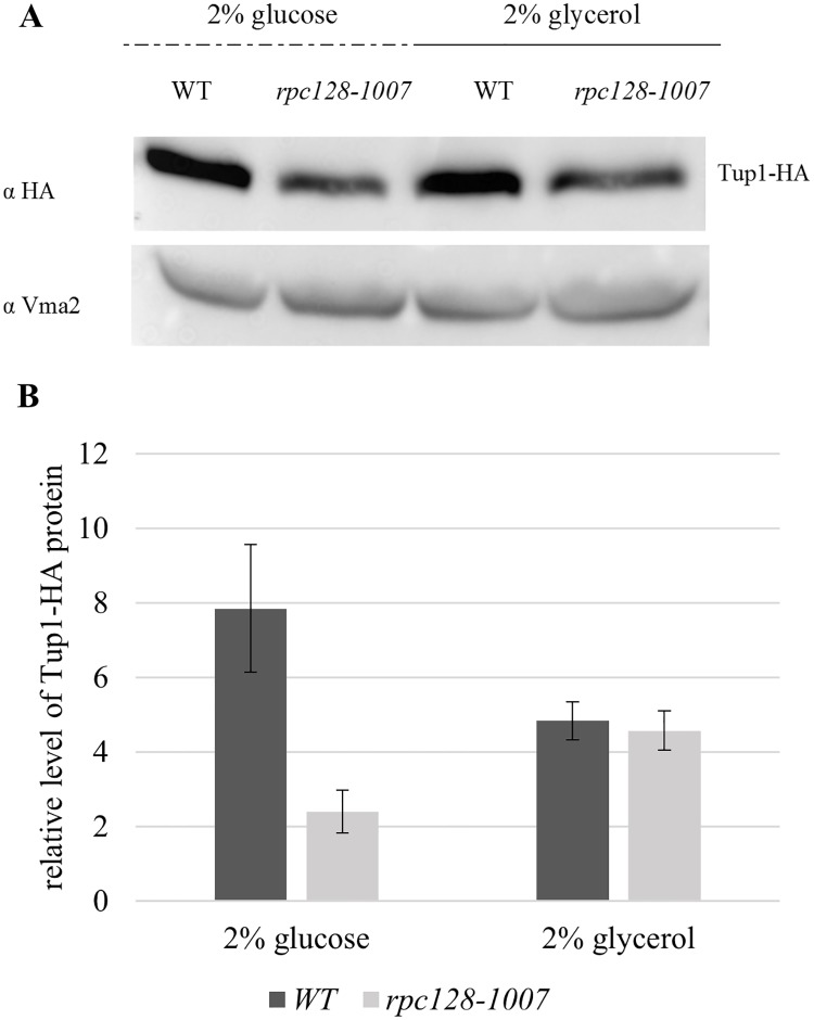 Fig 8