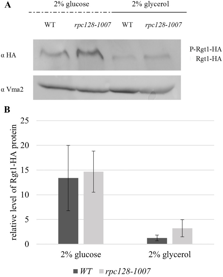 Fig 7