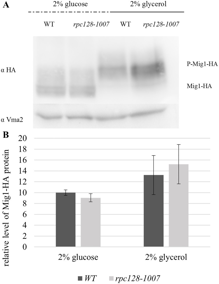 Fig 5