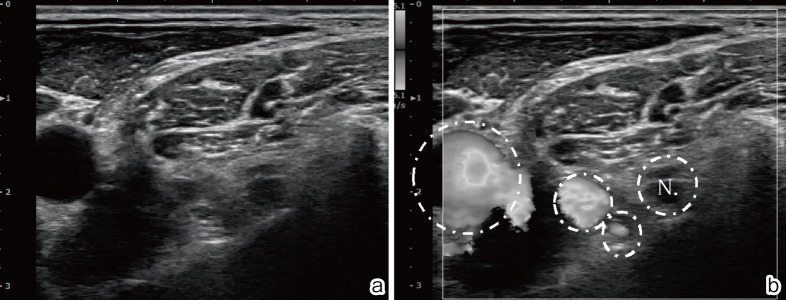 Figure 5.