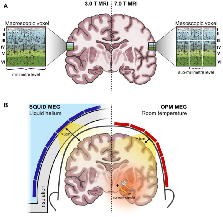 Figure 4: