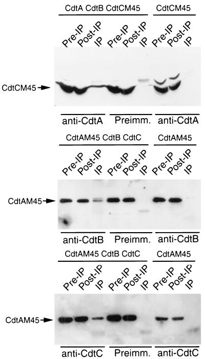 FIG. 5