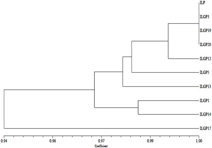 Figure 11