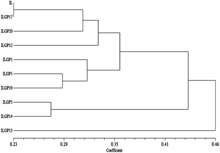 Figure 12