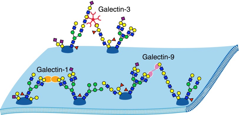 Figure 10.