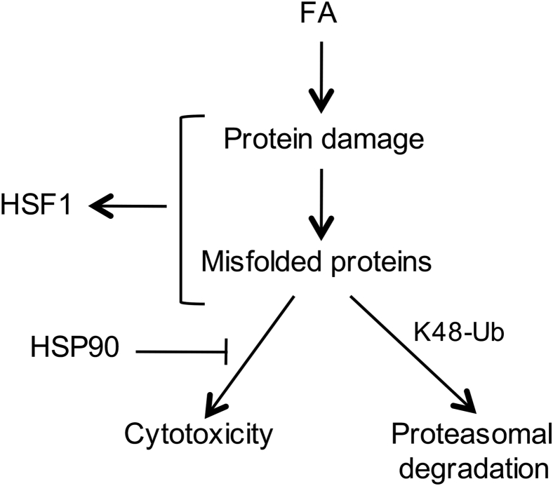 Figure 7