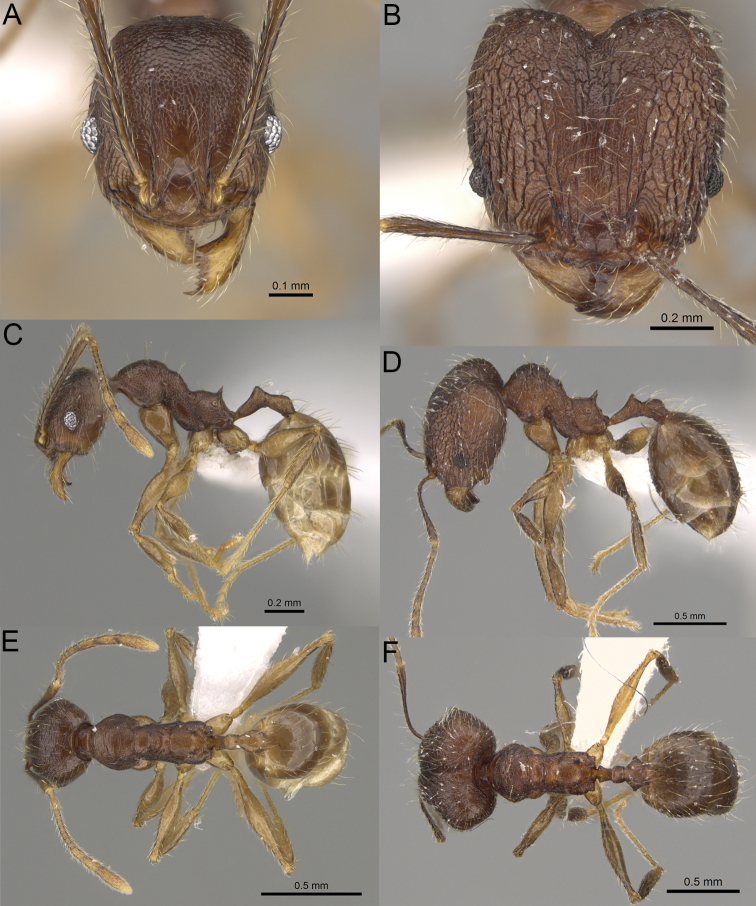 Figure 35.