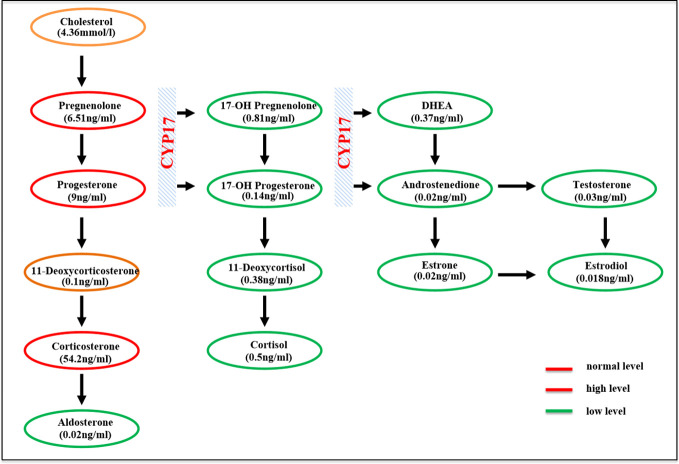 Figure 1