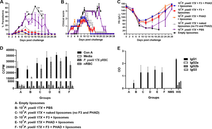 FIG 3