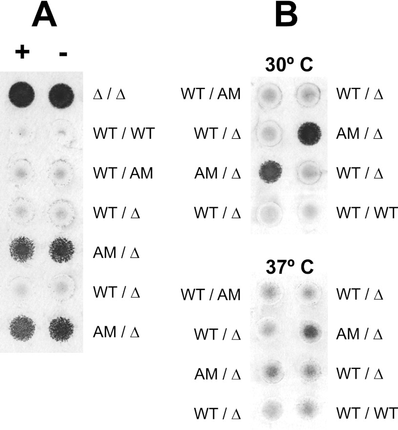 Fig 5