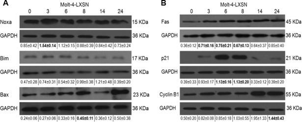 Fig 5