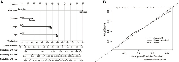 Figure 11