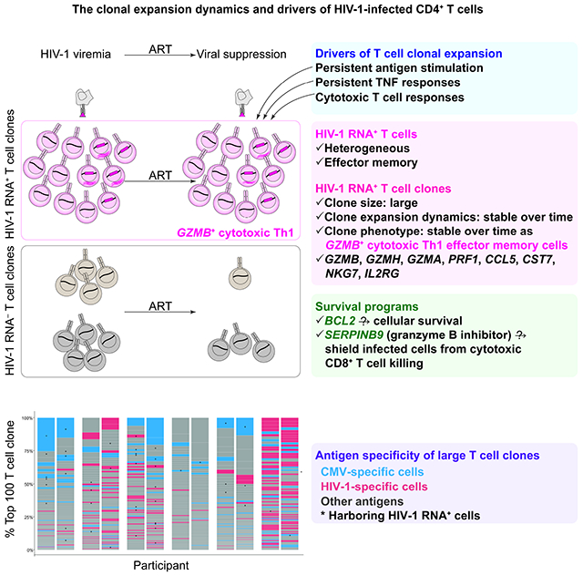 graphic file with name nihms-1789217-f0008.jpg