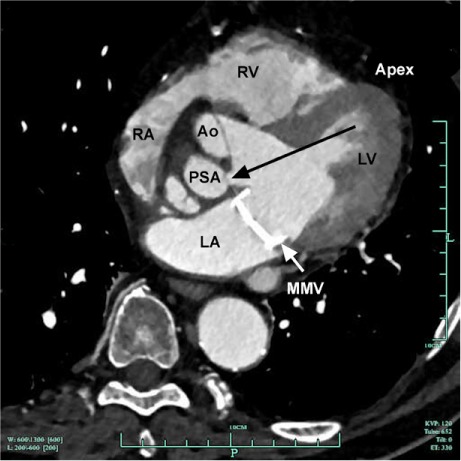 Fig. 5.