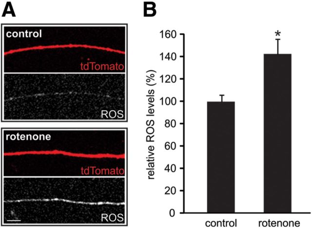 Figure 5.