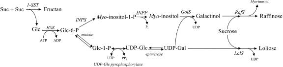 Figure 7.