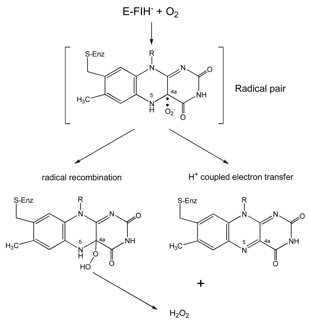 Scheme 7