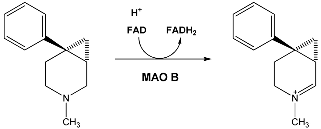 Scheme 5