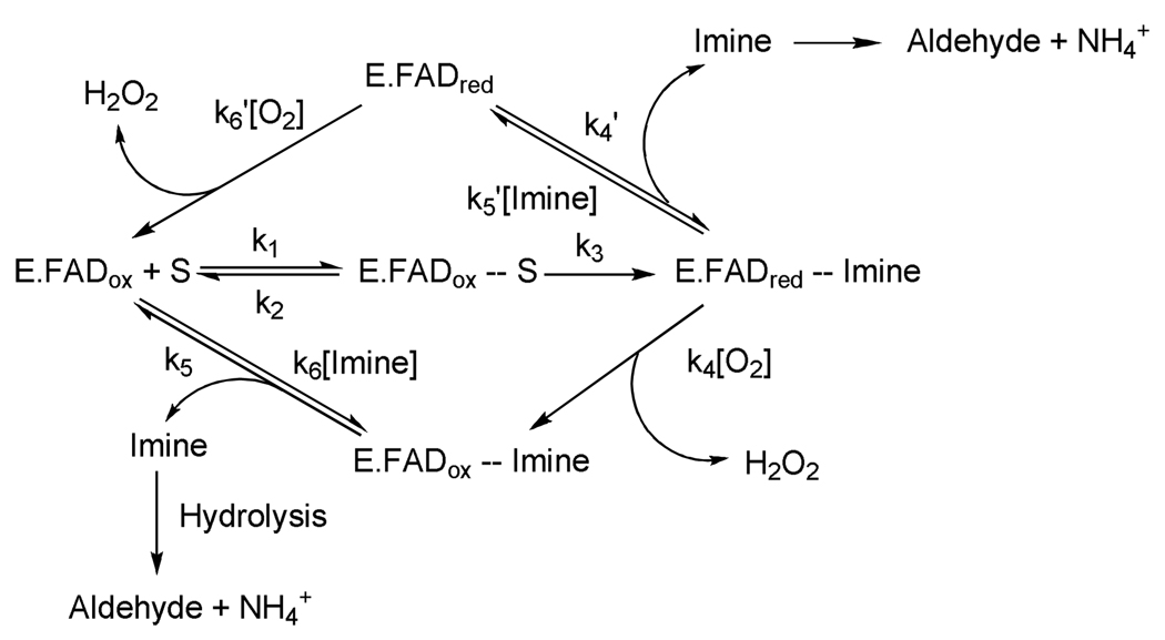 Scheme 1