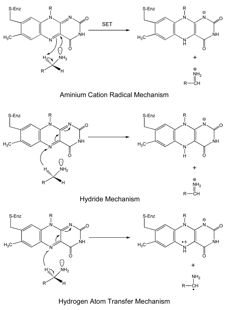 Scheme 4