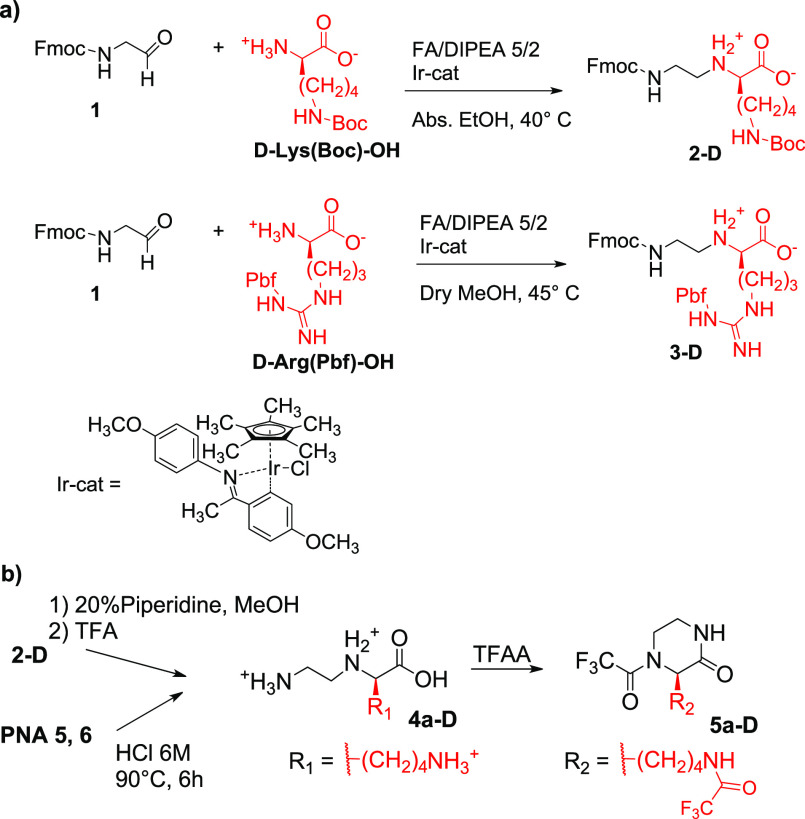 Scheme 2