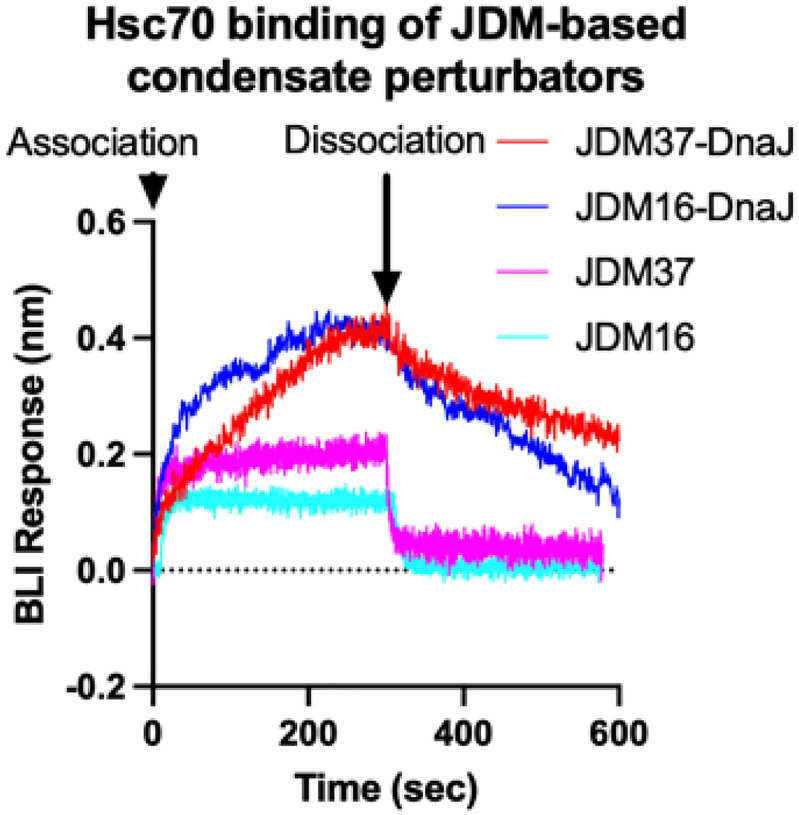 Extended Data Figure 7: