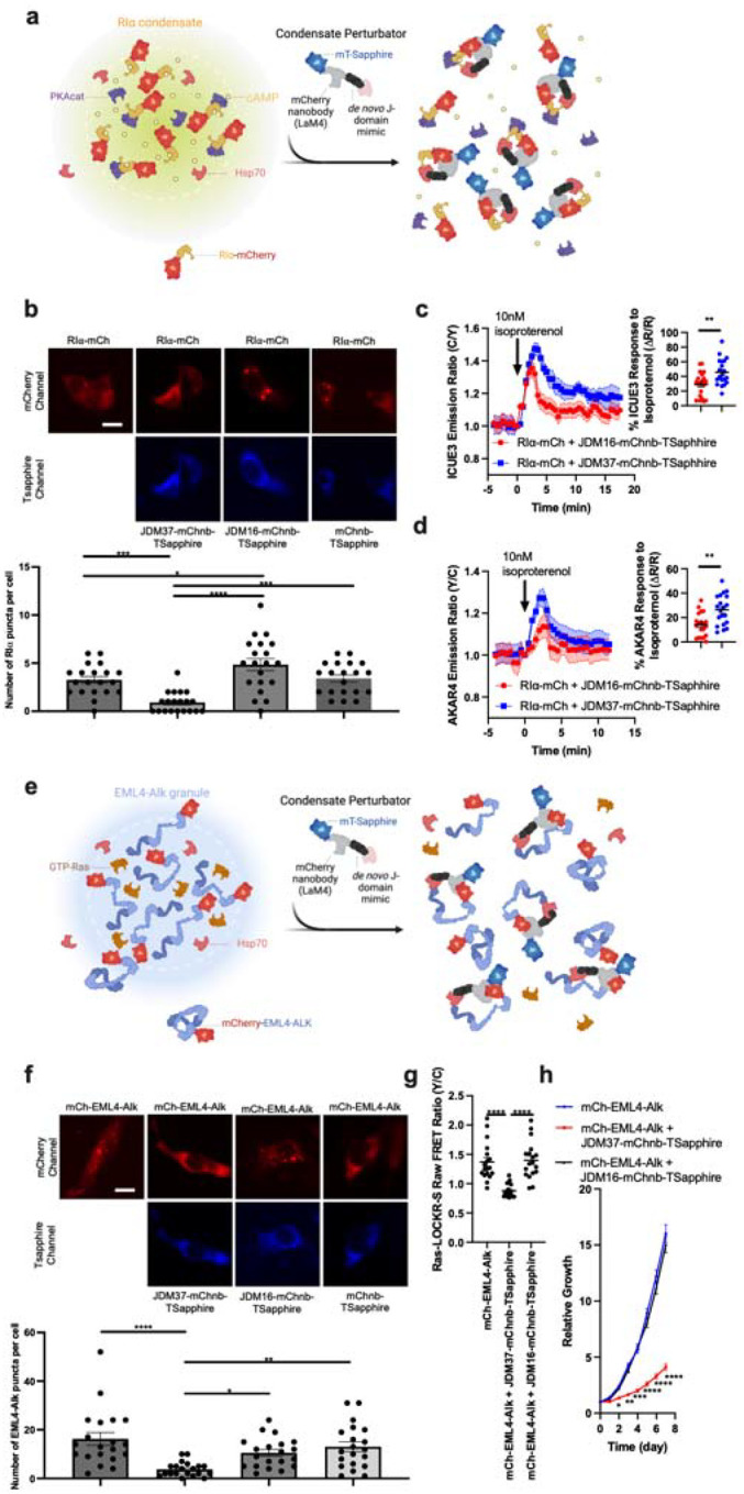 Figure 2: