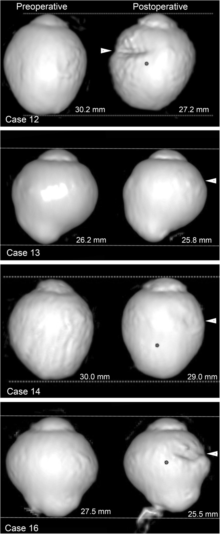 Fig. 8