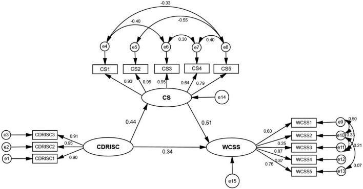 FIGURE 1