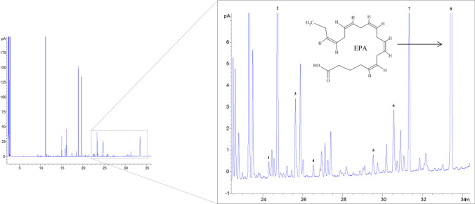 Fig. 2