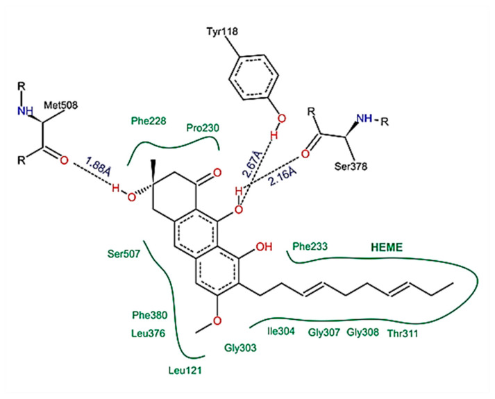 Figure 11