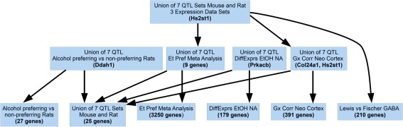 Fig. 6