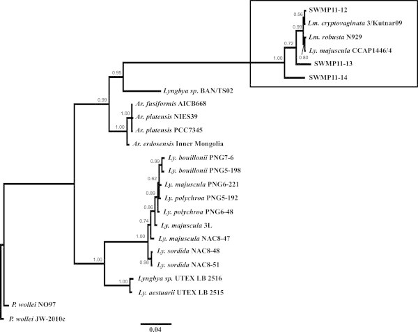 Figure 2