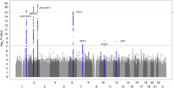 FIGURE 1