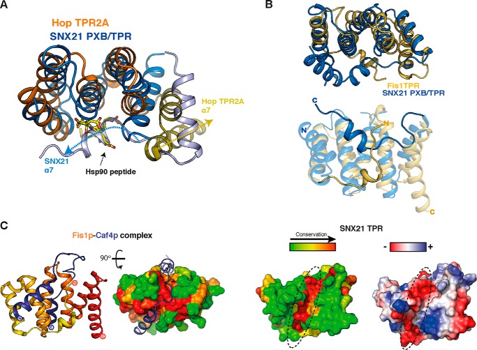 FIGURE 4.