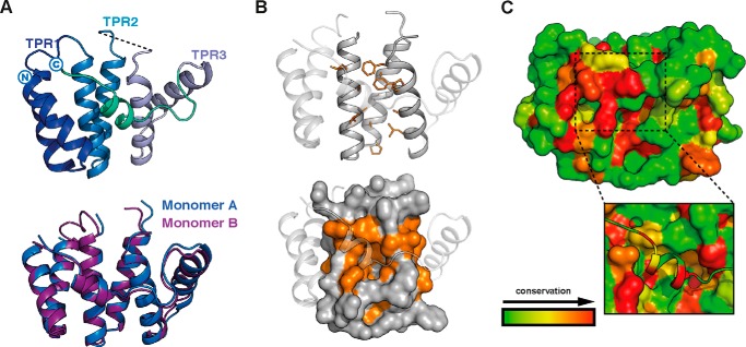 FIGURE 3.