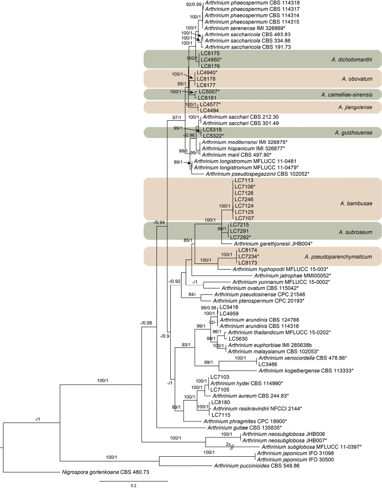 Figure 1.