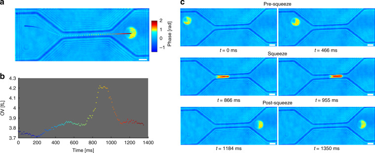 Fig. 2