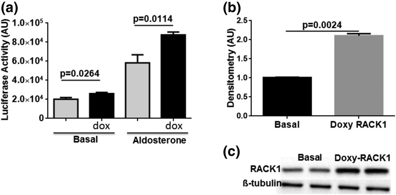 Figure 3.