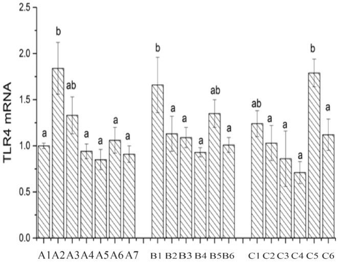 FIGURE 13