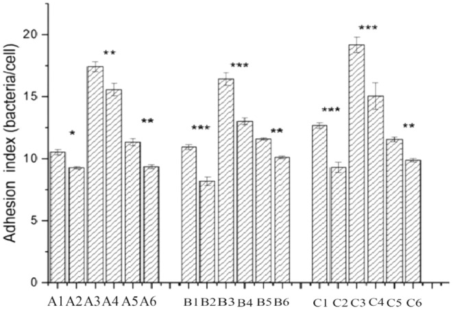 FIGURE 4