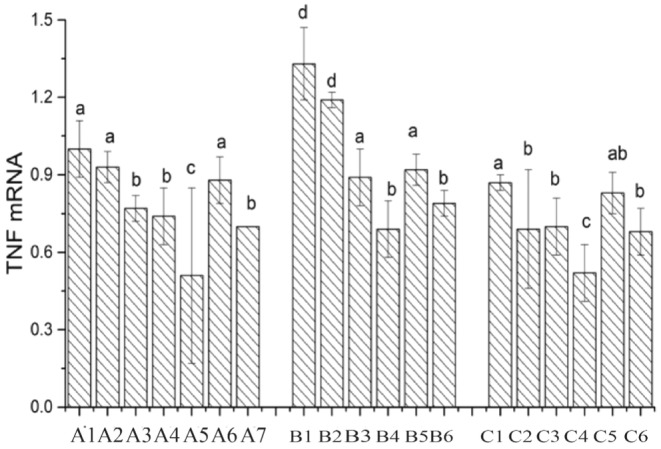 FIGURE 17