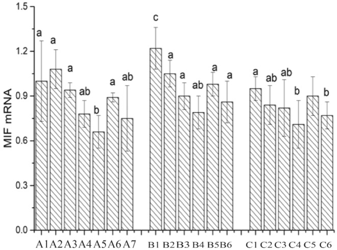 FIGURE 16