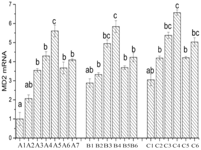 FIGURE 12